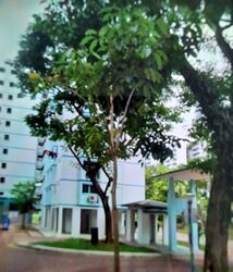 Tampines Avenue 8 (Tampines),  #587075071